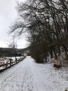 Achtung Gehölzpflege! WUK Attchenbach
