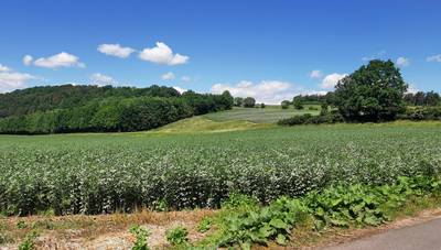 Werra Eltetalradweg5