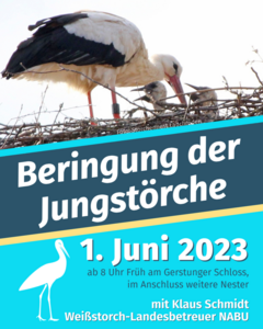 storchenberingung
