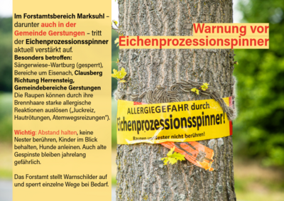 meldungeichenprozessionsspinner 23.06.2026