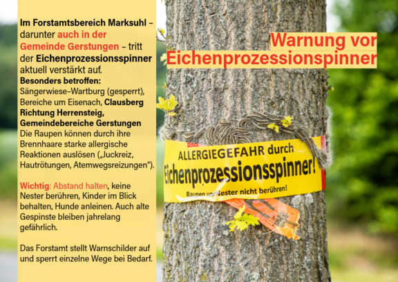 meldungeichenprozessionsspinner 23.06.2026