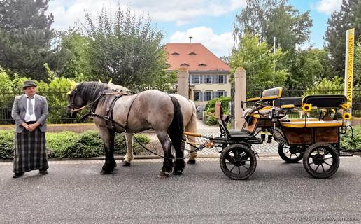 FBHochzeitskutsche vordemRathaus21.07.2021kh ©KHartung