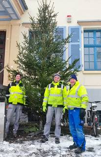 Helmut Klatt, Sebastian Krech und Hartmut Kranz trotzen Wind und Wetter ©K. Hartung 3bauhoflerweihnachtsbaumrathaus