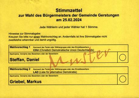 musterstimmzettel