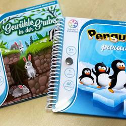 smart games magnetspiele