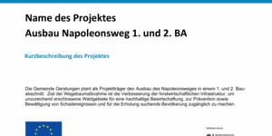 publizit tsnachweisnapoleonweg