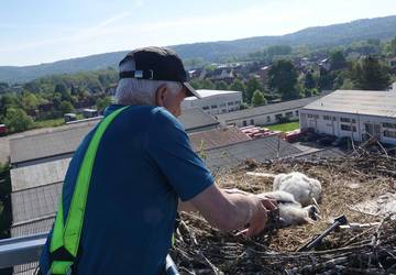 DSC08551k © I. Stützel