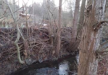 Einschichtungen an Elte in Lauchröden Sehr große Einschichtungen von Ästen und Strauchwerk in den Baumbestand am Ufer der Elte in Lauchröden