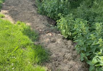 Grasablagerungen Eckardtshausen