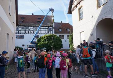 Nest BesucherGerstungen