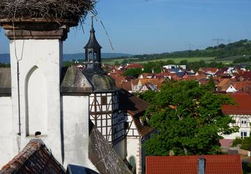 Nest Storchenblick