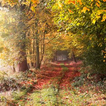 EinfahrtDietrichsberg
