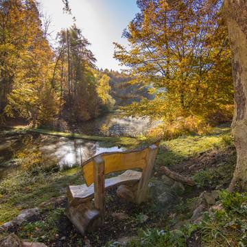 Teich bei Förtha © Peter Gerlach MG 7499