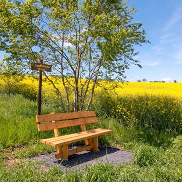 Eckardtshäuser Blick © Peter Gerlach MG 0042