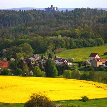 Wolfsburg Unkeroda2 © Holger Fuß