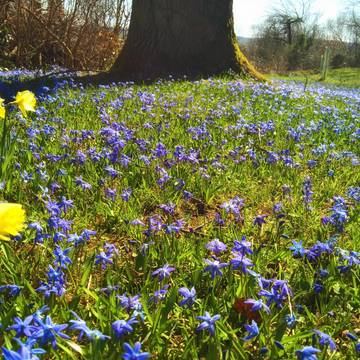 Park am Friedhof Gerstungen