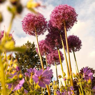 Rathauspark Gerstungen