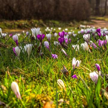 Park am Friedhof Gerstungen