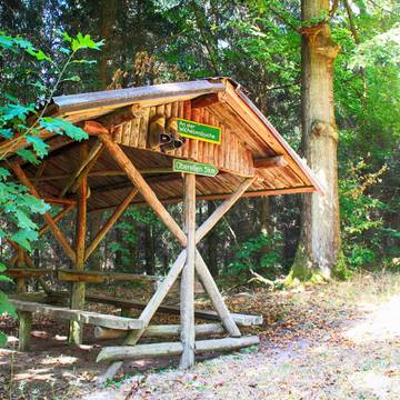 Rastplatz am Sallmannshäuser Rennsteig