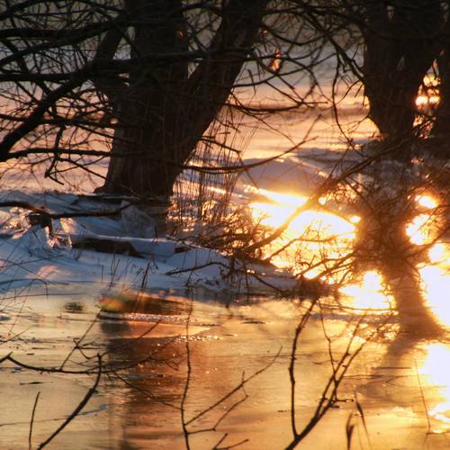 FB5Eispalast FB5Eispalast