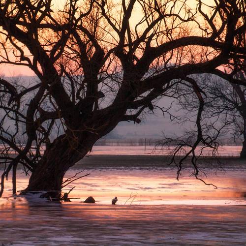 FBEispalast1 FBEispalast1