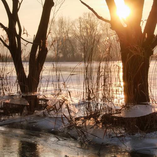 FBEispalast3 FBEispalast3