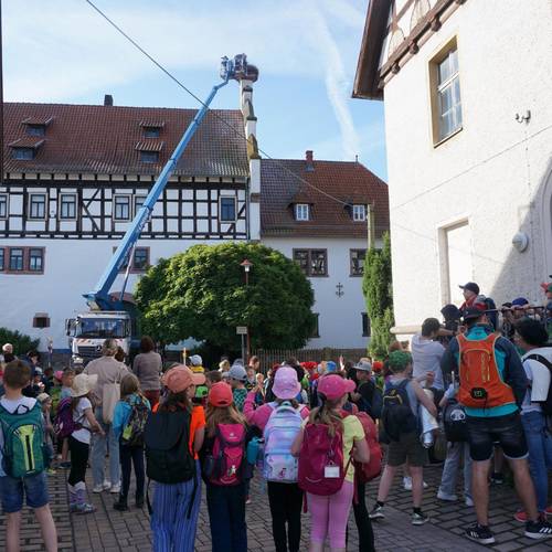 Nest   BesucherGerstungen