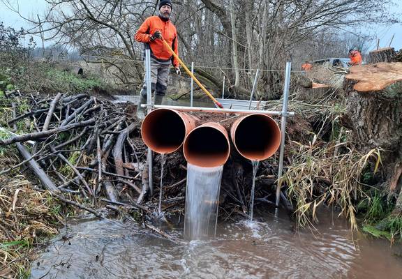 Thorsten königsfeld nach Fertigstellung