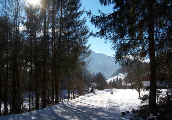 Knollgraben Wintersonne L Grausam