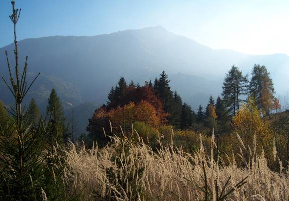 Oktober Leopold Grausam