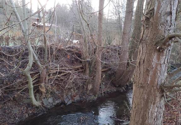 Einschichtungen an Elte in Lauchröden Sehr große Einschichtungen von Ästen und Strauchwerk in den Baumbestand am Ufer der Elte in Lauchröden