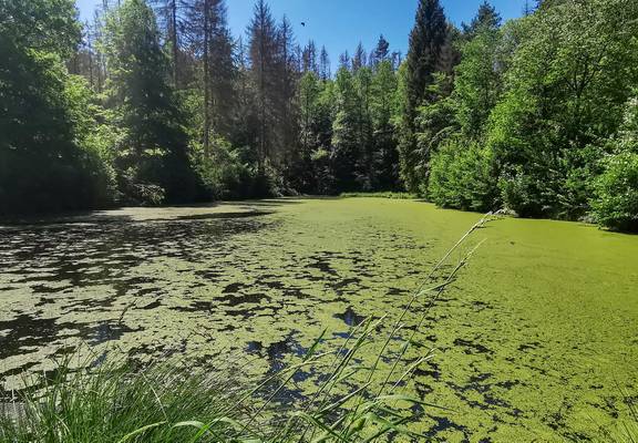 Naturidylle am Werra-Eltetal-Radweg © K. Hratung Werra Eltetalradweg6
