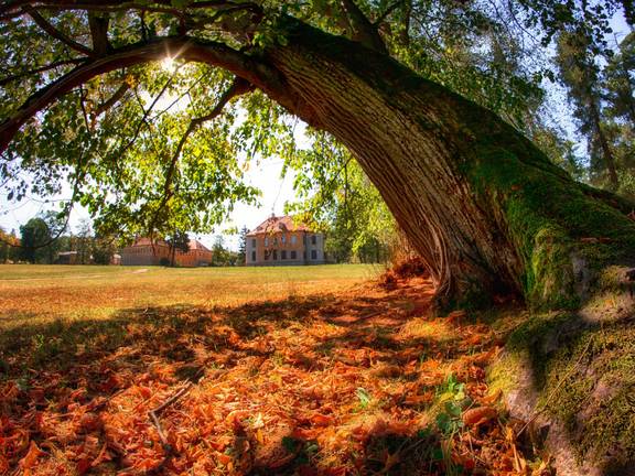 Schlosspark Wilhelmsthal