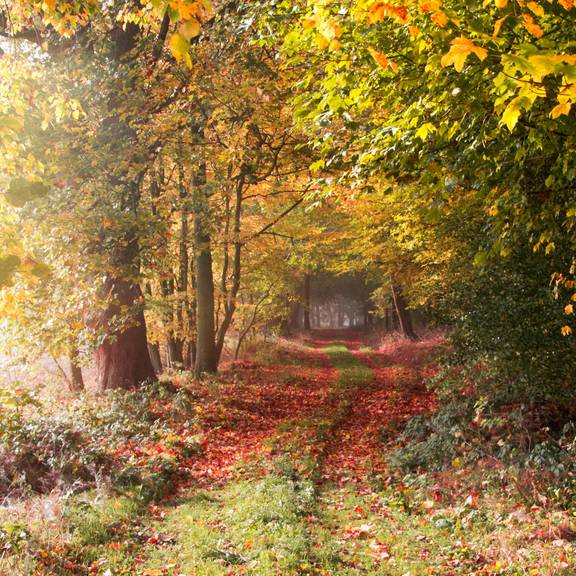 EinfahrtDietrichsberg