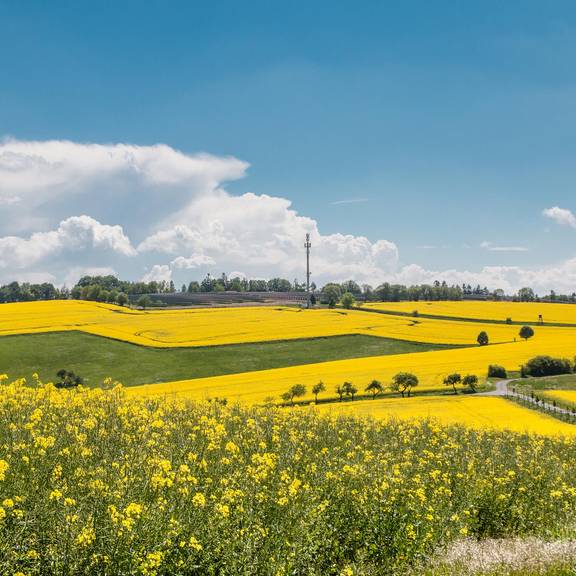 Bei Eckardtshausen © Peter Gerlach MG 0069