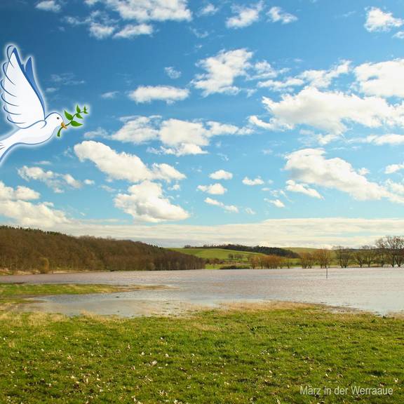 Cover für FACEBOOK Frieden