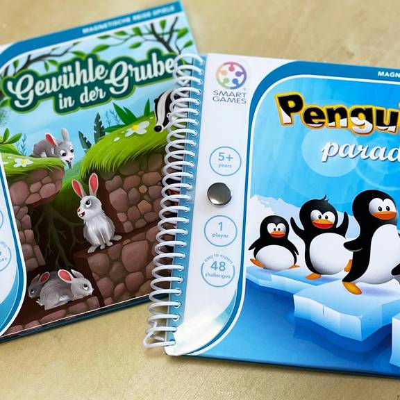 smart games magnetspiele