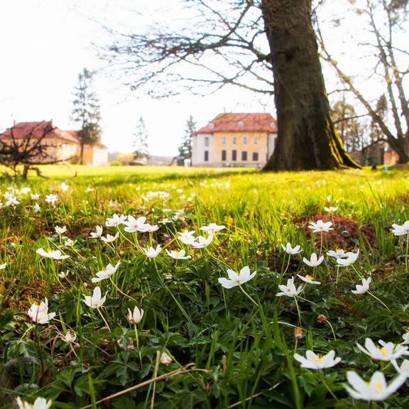 Park Schloss Wilhelmsthal