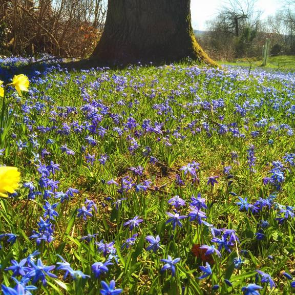 Park am Friedhof Gerstungen