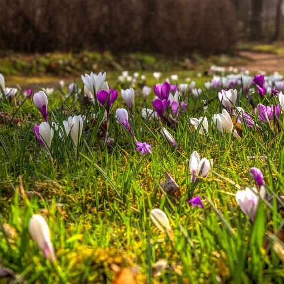 Park am Friedhof Gerstungen