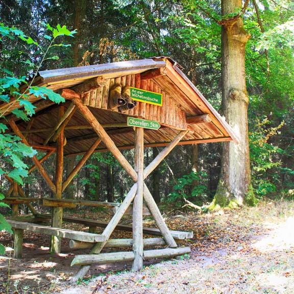 Rastplatz am Sallmannshäuser Rennsteig