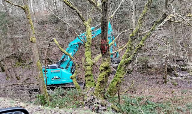 Erste Arbeiten im Rahmen der Notmaßnahme beginnen ©Daniel Steffan erstebaggerarbeitentrasse