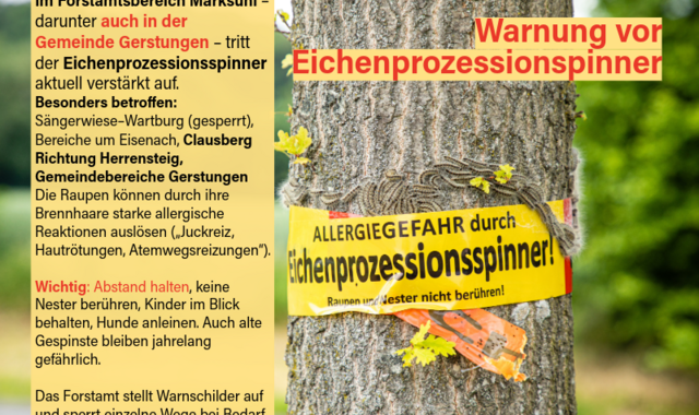 meldungeichenprozessionsspinner 23.06.2026