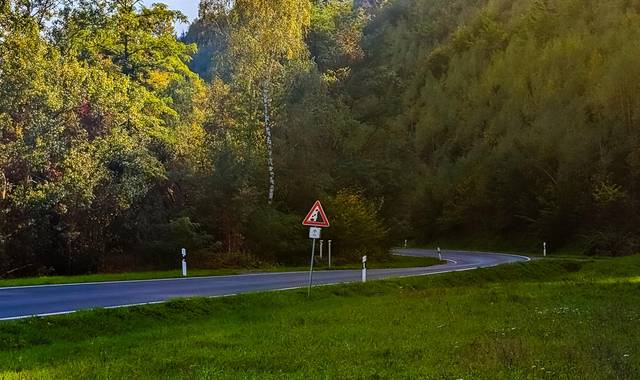 Unser Foto zeigt den betroffenen Hangbereich an der K505. ©K. Hartung | Gemeinde Gerstungen hangsicherungsarbeiten snt